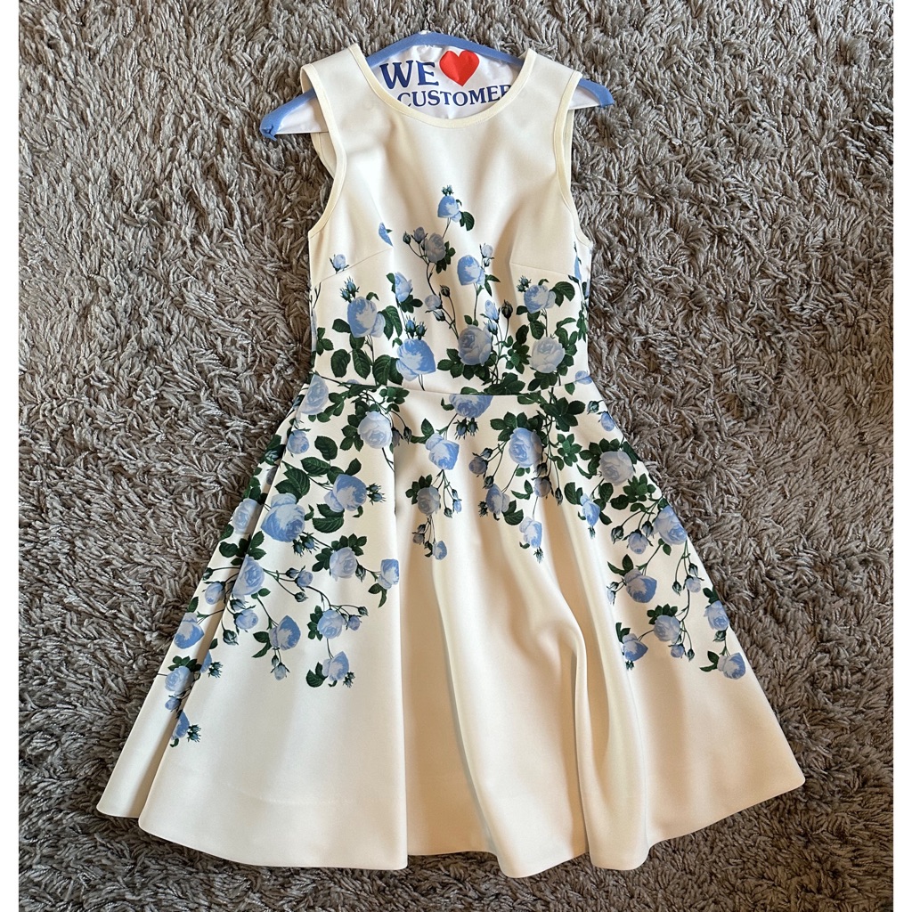 Erin By Erin Fetherston Floral Garden Dress